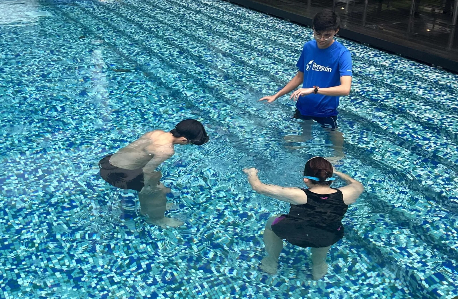 Adult Swim Programme